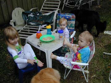 120102k.jpg