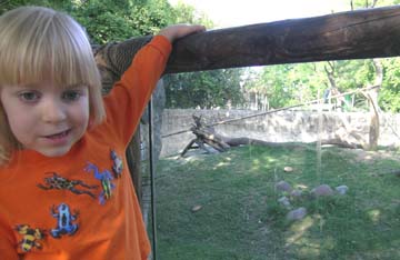 czoo0405-317.jpg