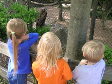 zoo0405-314.jpg