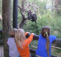 zoo0405-321.jpg